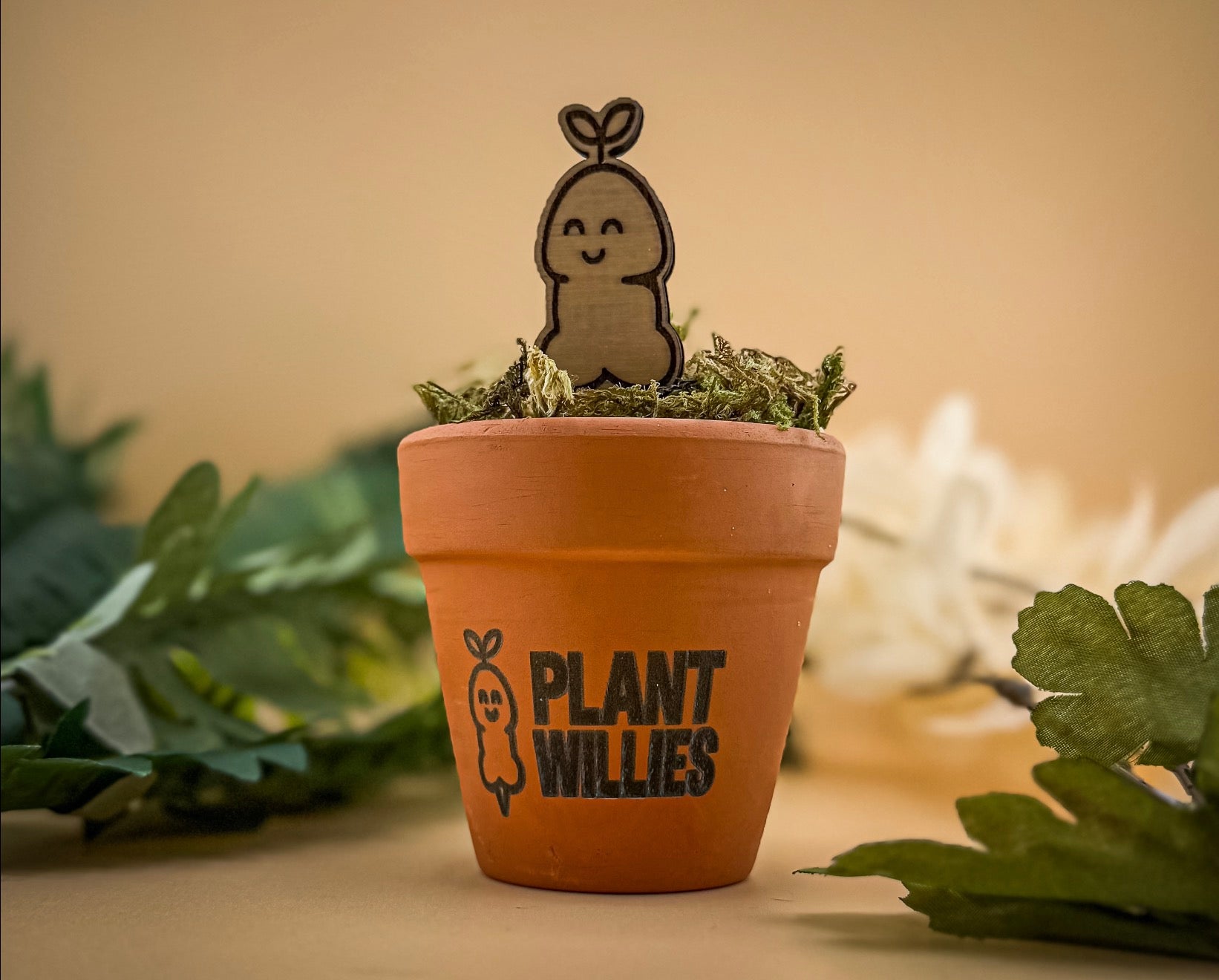 Lil Sprout™ — Wooden Plant Stake (Unpotted)