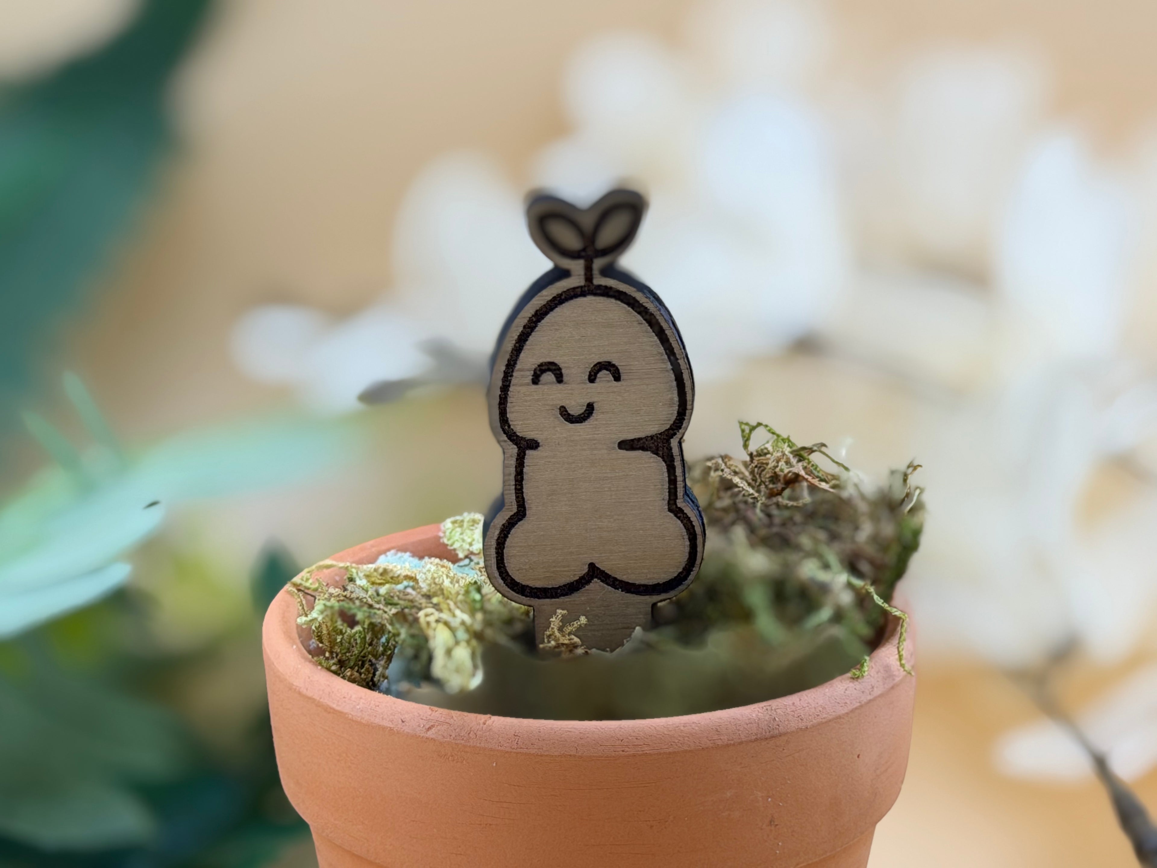 Lil Sprout™ — Wooden Plant Stake (Unpotted)