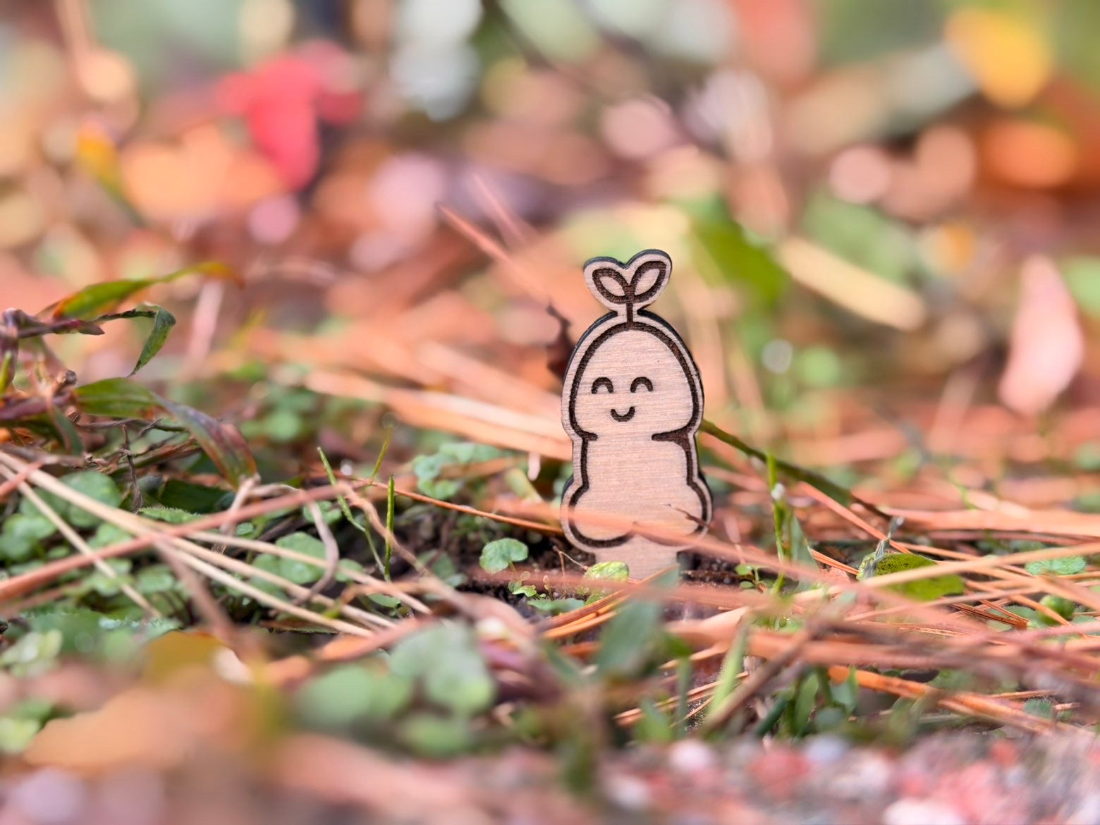 Lil Sprout™ — Wooden Plant Stake (Unpotted)