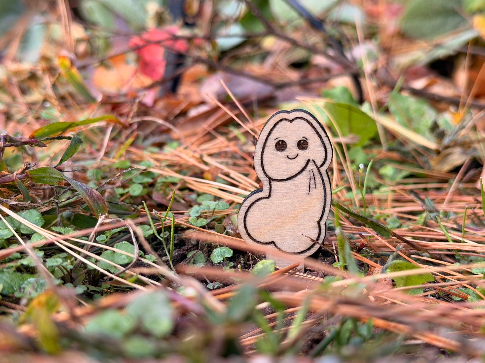 Dozy Willie™ — Wooden Plant Stake (Unpotted)