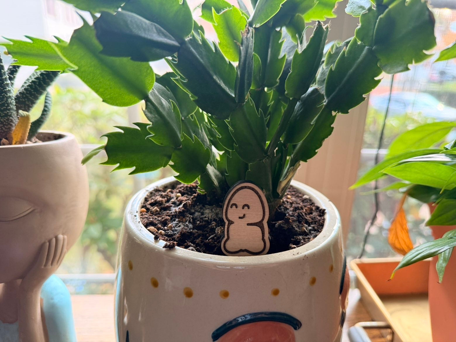 Chubby Bud™ — Wooden Plant Stake (Unpotted)