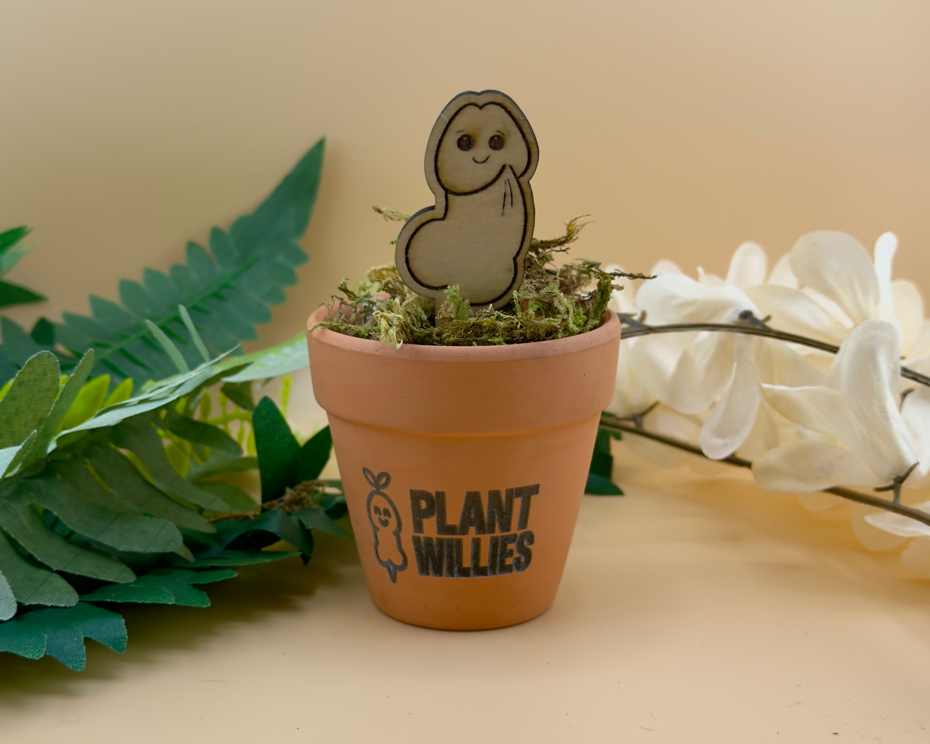 Dozy Willie wooden plant stake resting peacefully in a cozy plant pot.