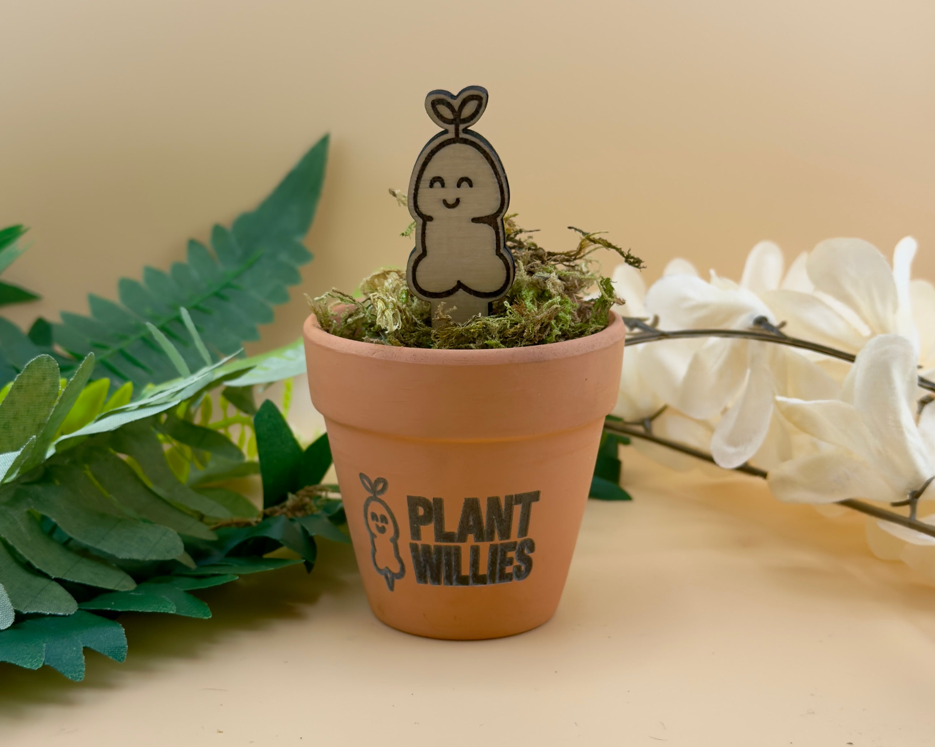 Lil Sprout wooden plant stake smiling in small potted plant — Plant Willies™.